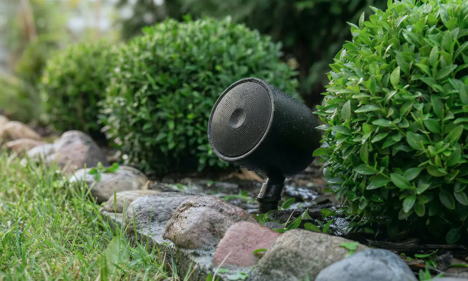 A KEF landscape satellite on a stake between clipped boxwoods, wet from rain