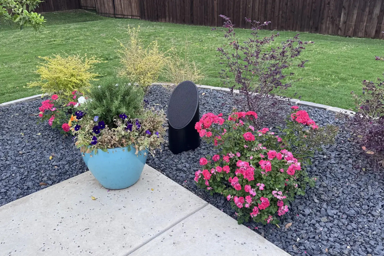 A bollard speaker standing among roses and shrubs in a gravel bed, lawn and fence behind