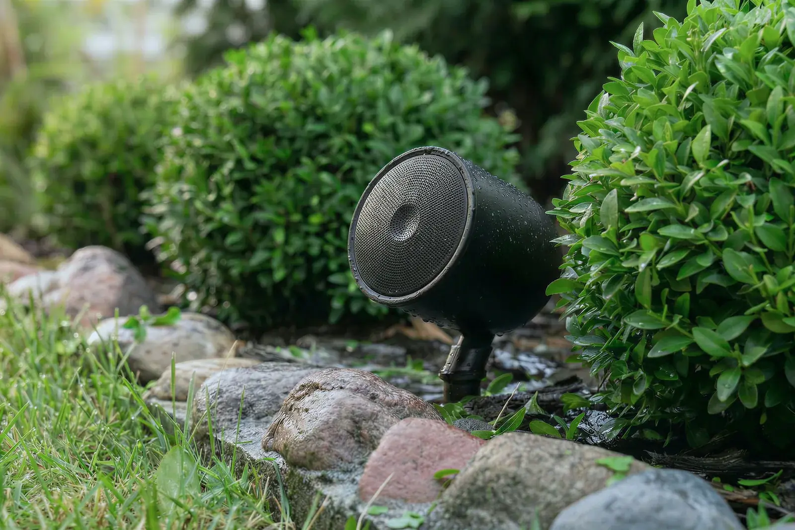 A black landscape satellite speaker on a stake between clipped boxwoods, wet from the rain